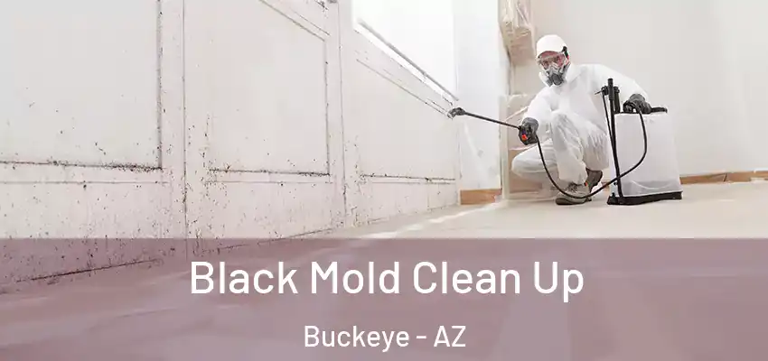  Black Mold Clean Up Buckeye - AZ