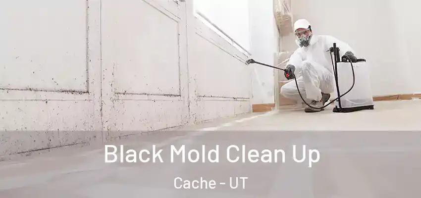  Black Mold Clean Up Cache - UT