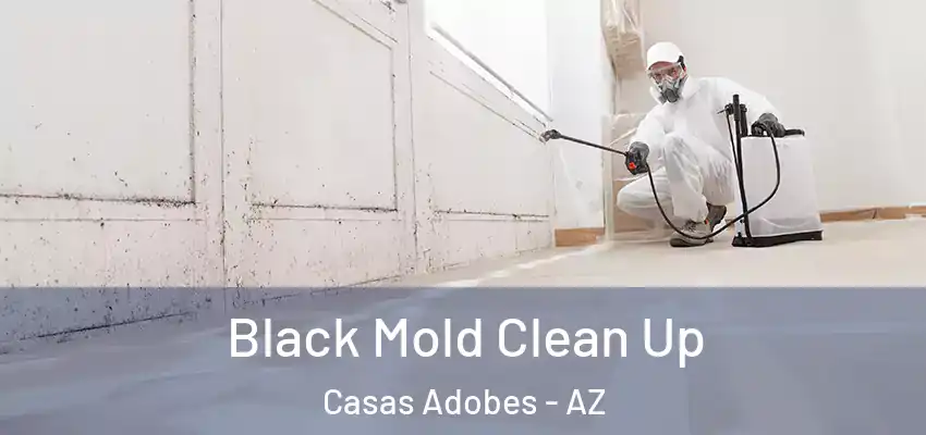  Black Mold Clean Up Casas Adobes - AZ