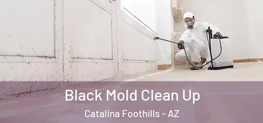  Black Mold Clean Up Catalina Foothills - AZ