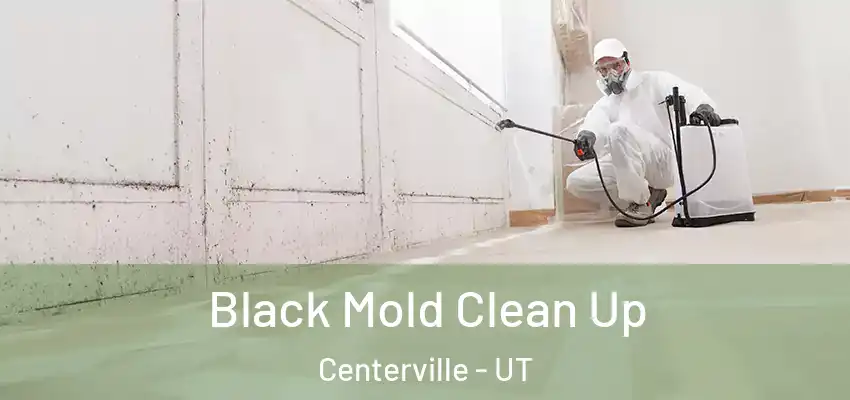  Black Mold Clean Up Centerville - UT