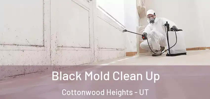  Black Mold Clean Up Cottonwood Heights - UT