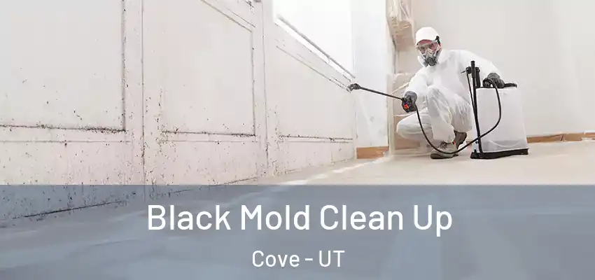  Black Mold Clean Up Cove - UT