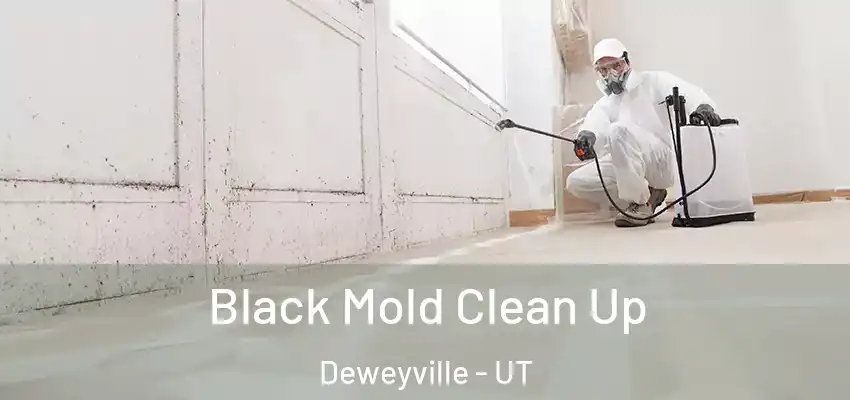  Black Mold Clean Up Deweyville - UT