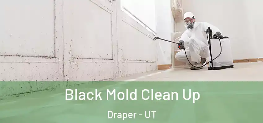  Black Mold Clean Up Draper - UT