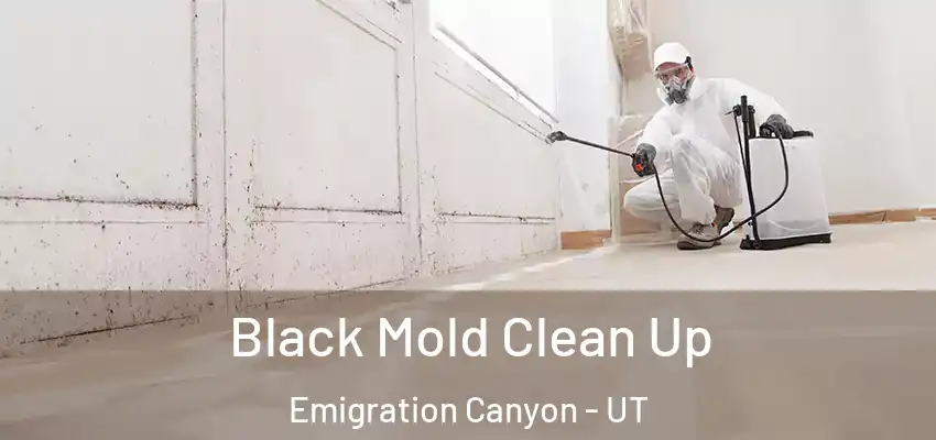  Black Mold Clean Up Emigration Canyon - UT