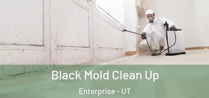  Black Mold Clean Up Enterprise - UT