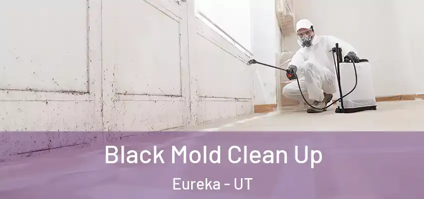  Black Mold Clean Up Eureka - UT