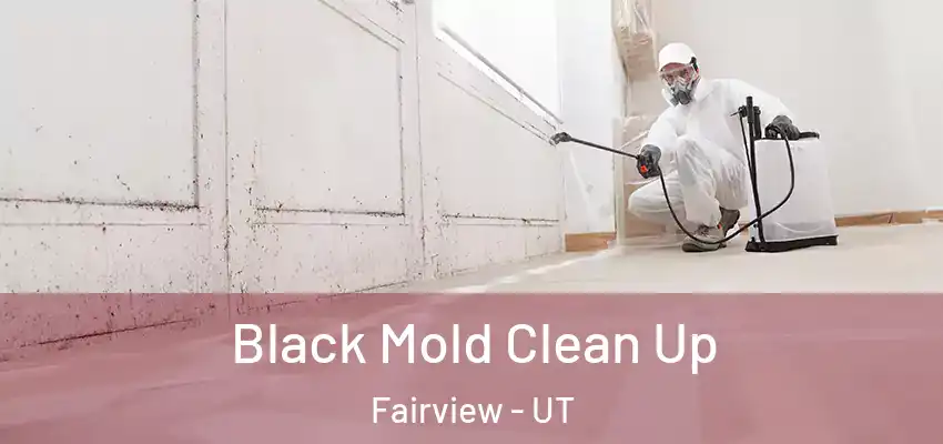  Black Mold Clean Up Fairview - UT