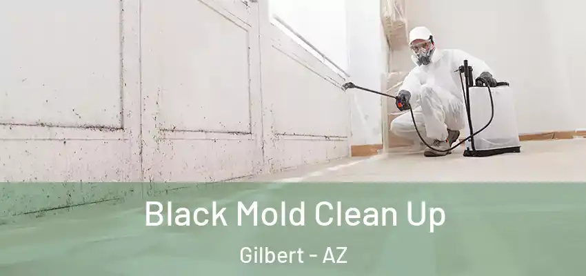  Black Mold Clean Up Gilbert - AZ
