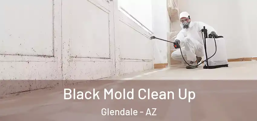  Black Mold Clean Up Glendale - AZ