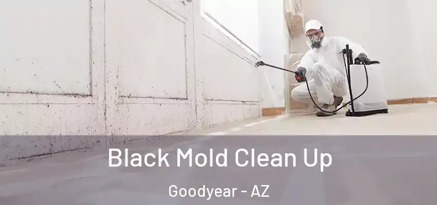  Black Mold Clean Up Goodyear - AZ