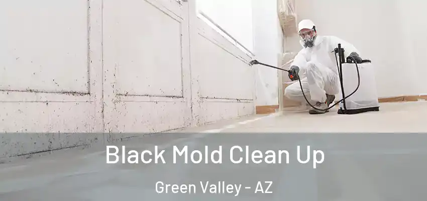  Black Mold Clean Up Green Valley - AZ