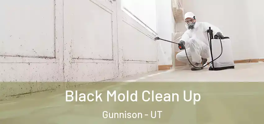  Black Mold Clean Up Gunnison - UT