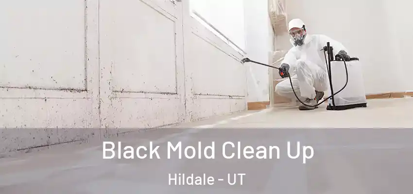  Black Mold Clean Up Hildale - UT