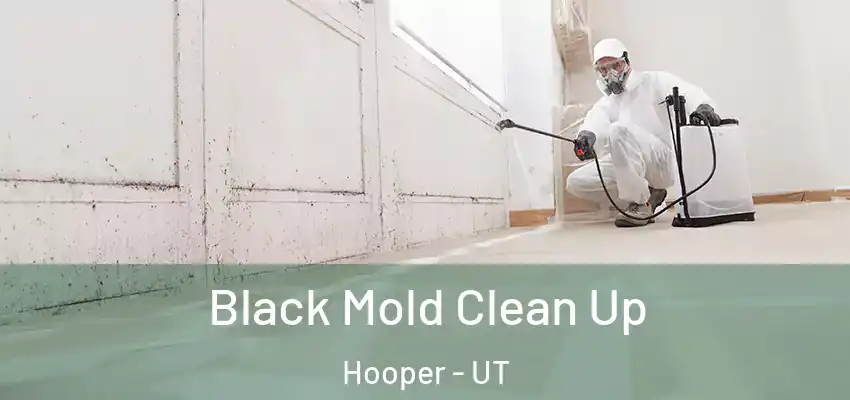  Black Mold Clean Up Hooper - UT
