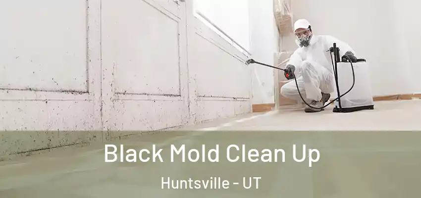  Black Mold Clean Up Huntsville - UT