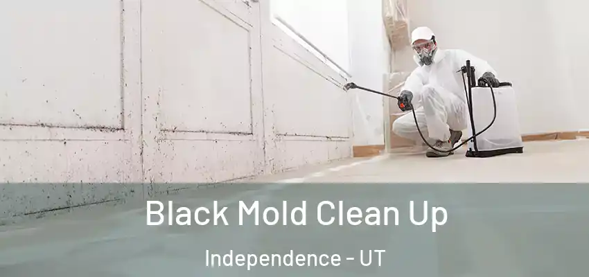 Black Mold Clean Up Independence - UT