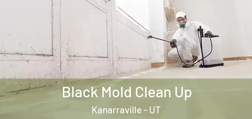 Black Mold Clean Up Kanarraville - UT