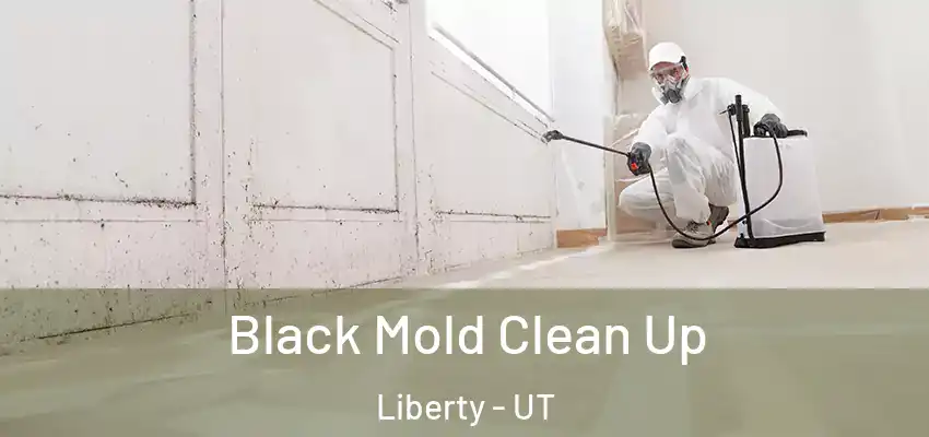  Black Mold Clean Up Liberty - UT