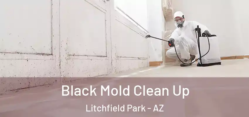 Black Mold Clean Up Litchfield Park - AZ