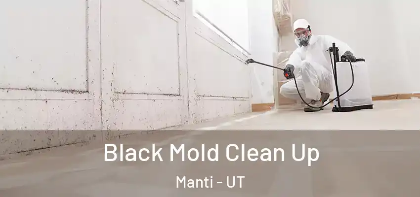 Black Mold Clean Up Manti - UT