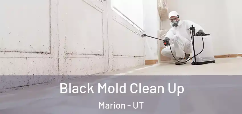 Black Mold Clean Up Marion - UT