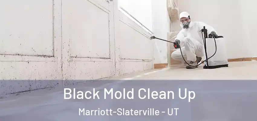  Black Mold Clean Up Marriott-Slaterville - UT