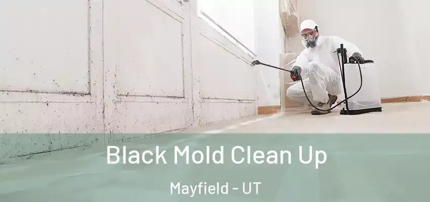  Black Mold Clean Up Mayfield - UT