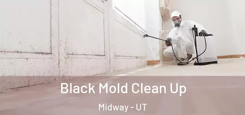  Black Mold Clean Up Midway - UT