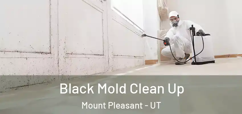  Black Mold Clean Up Mount Pleasant - UT