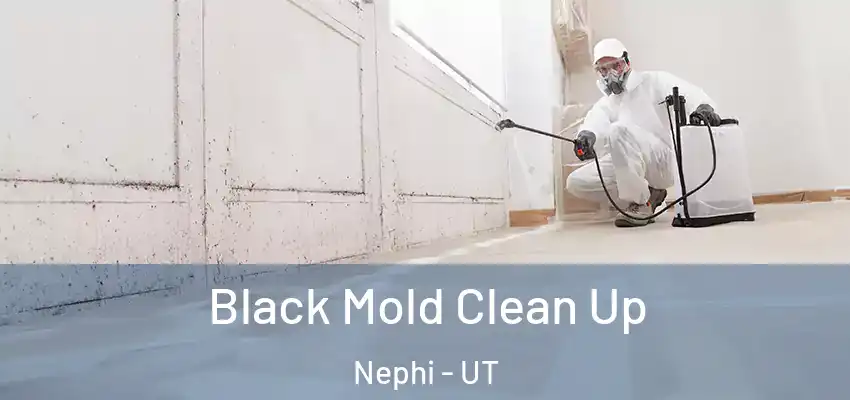  Black Mold Clean Up Nephi - UT