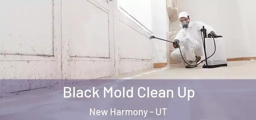  Black Mold Clean Up New Harmony - UT