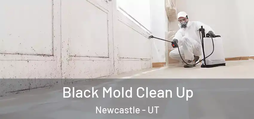  Black Mold Clean Up Newcastle - UT