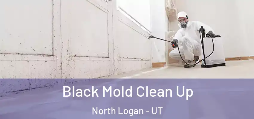  Black Mold Clean Up North Logan - UT