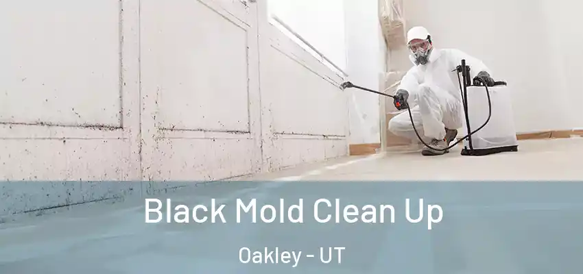 Black Mold Clean Up Oakley - UT