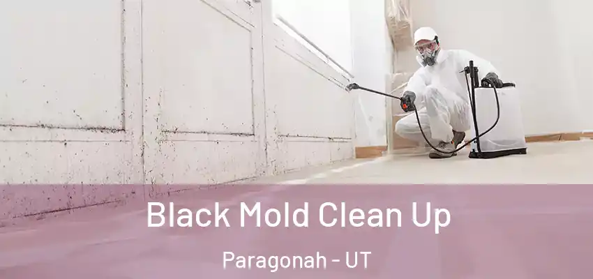 Black Mold Clean Up Paragonah - UT