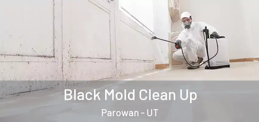  Black Mold Clean Up Parowan - UT