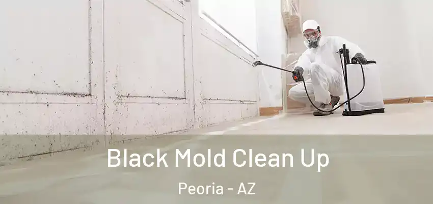 Black Mold Clean Up Peoria - AZ