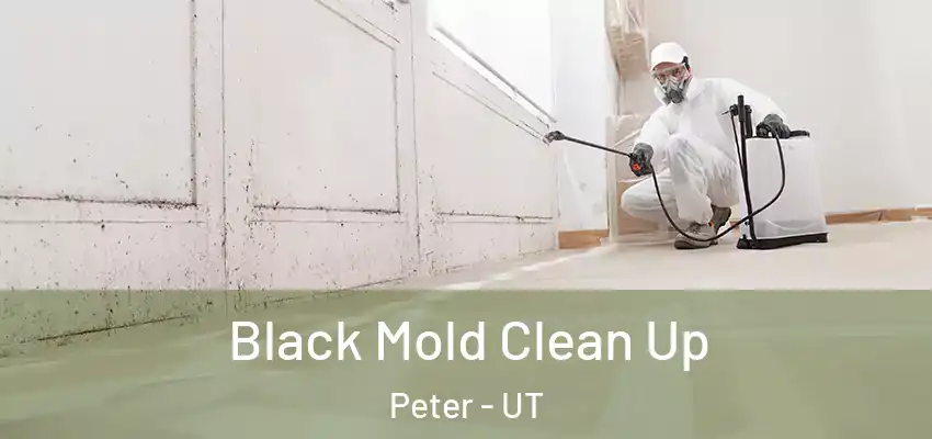 Black Mold Clean Up Peter - UT