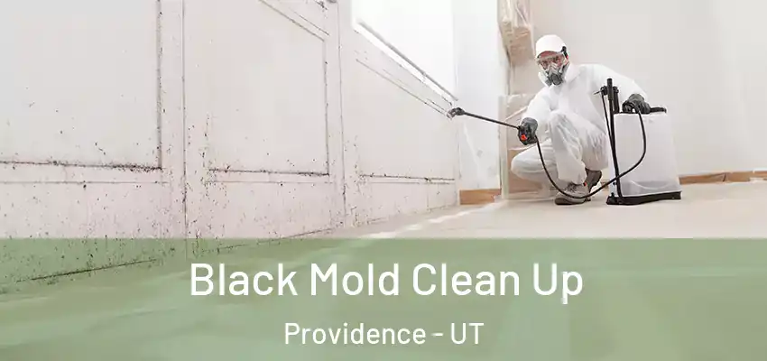  Black Mold Clean Up Providence - UT