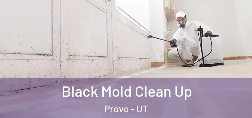  Black Mold Clean Up Provo - UT