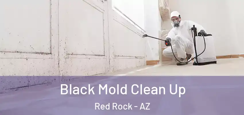  Black Mold Clean Up Red Rock - AZ