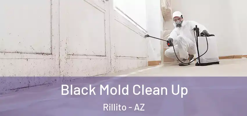 Black Mold Clean Up Rillito - AZ