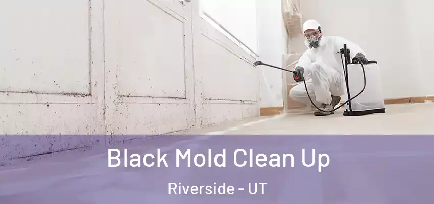  Black Mold Clean Up Riverside - UT