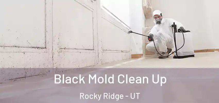 Black Mold Clean Up Rocky Ridge - UT