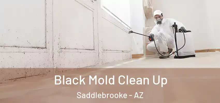  Black Mold Clean Up Saddlebrooke - AZ