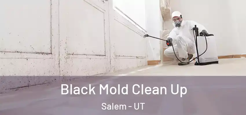 Black Mold Clean Up Salem - UT