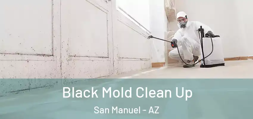 Black Mold Clean Up San Manuel - AZ
