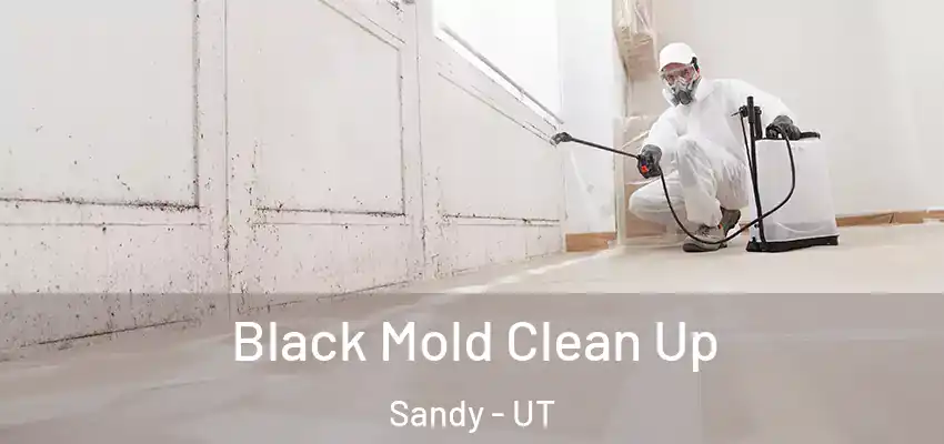 Black Mold Clean Up Sandy - UT